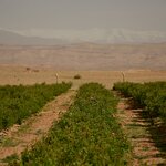 Photo taken by Indra S