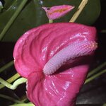 Photo taken by Robin W