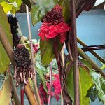 Photo taken by Harshida P