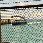 Photo taken by Edit M