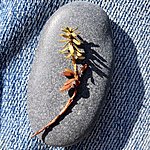 Photo taken by kirsten b