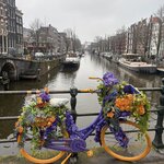 Photo taken by Robert D