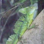 Photo taken by Joyce C