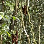 Photo taken by Kristen L