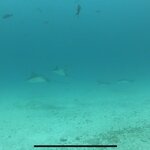 Photo taken by Stephanie A