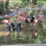 Photo taken by Laura R