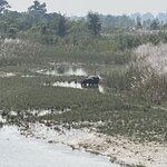 Photo taken by Dee M