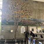 Photo taken by Lauren K