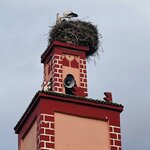 Photo taken by Lisa D