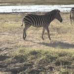 Photo taken by rhonda c