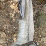 Photo taken by Kim L