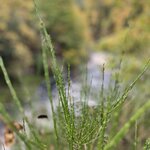 Photo taken by Danielle P