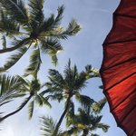 Farewell beach side bliss | Photo taken by Gregory R