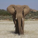 Photo taken by Joaquin M