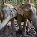 Photo taken by Steve B