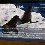 Photo taken by Iris W