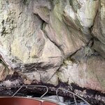 Photo taken by Maryann H