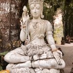 Photo taken by Shaula L