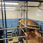 Photo taken by Bob P