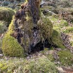 Photo taken by Marsha W