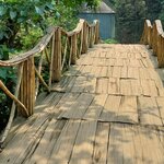 Photo taken by Tony W