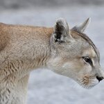 Photo taken by Martine B