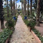 Photo taken by Christine S