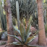 Photo taken by Christine S