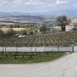 Photo taken by Susan M