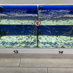 Photo taken by Kathleen L