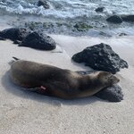 Photo taken by Stephanie A