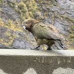 Photo taken by Jessee H