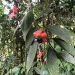 Photo taken by Anna L