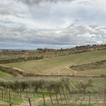 Photo taken by Alice W