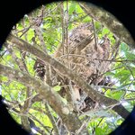 Photo taken by Natasha J