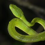 Photo taken by Marc A