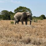 Photo taken by Julien C