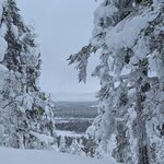 Photo taken by Monique V