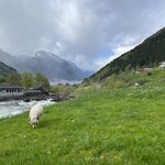 Photo taken by Brian C