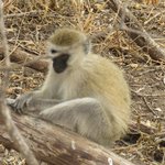 Photo taken by Kristin M