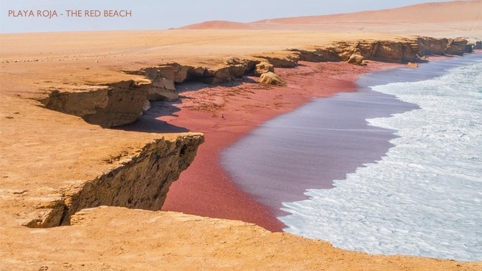 Shared Paracas Nature Reserve