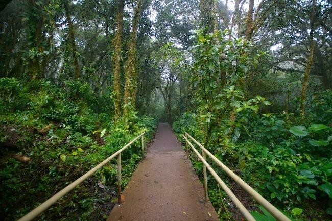 Enjoy La Paz Waterfall Gardens