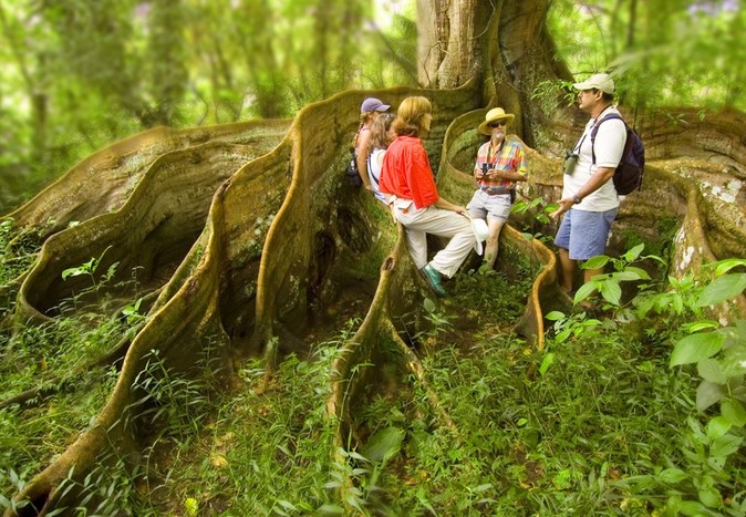 Caño Island Snorkeling