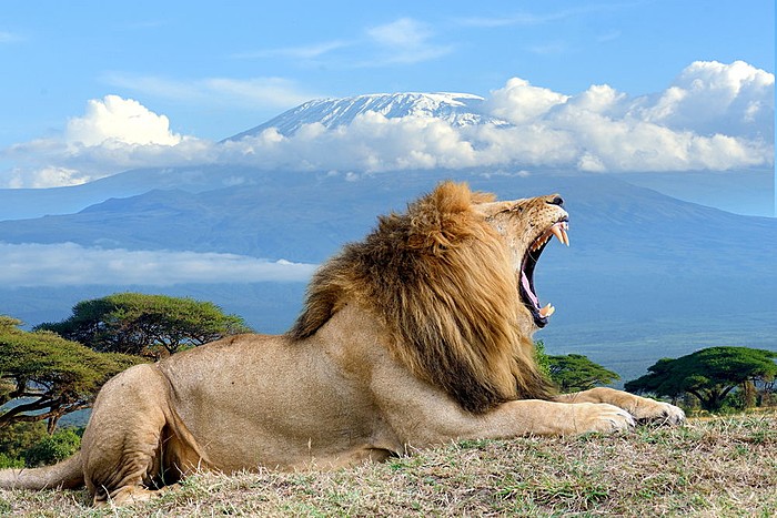 Amboseli National Park
