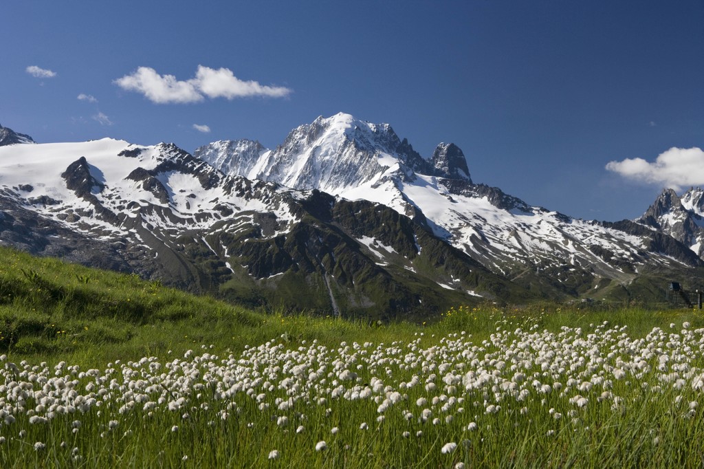 From Col de Balme view on Aiguille Verte