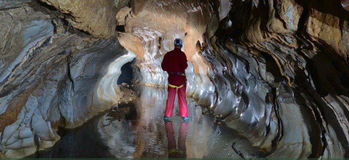 Nature Experience: Río Claro Nature Reserve