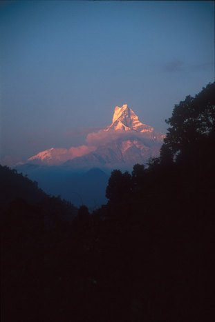 Drive from Pokhara to Dhampus and Trek to Landruk (6,234 ft / 1900 m)