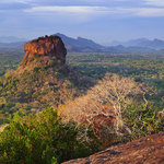 Enter the mouth of a lion at Sri Lanka's iconic Sigiriya rock fortress