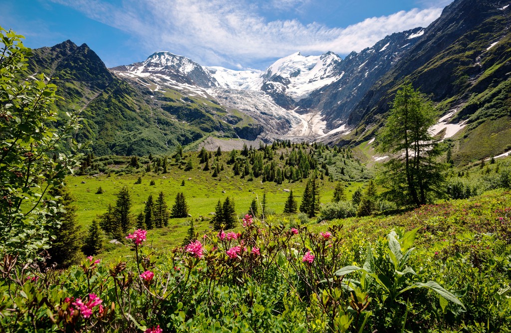 Bionnassay glacier and summit