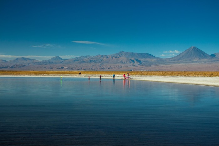 Lagunas Cejar, Tebenquinche and Ojos del Salar